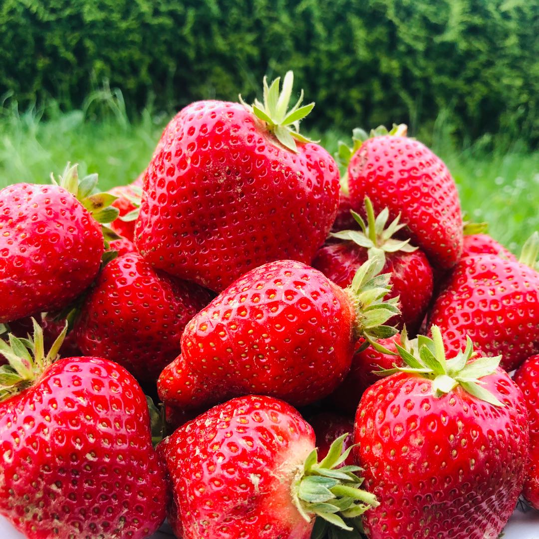 #PindleGem #food🍓 “Listen to the strawberries. Soak up the sun, let your ideas ripen, jam to your own beat.” Leslie Duthlie