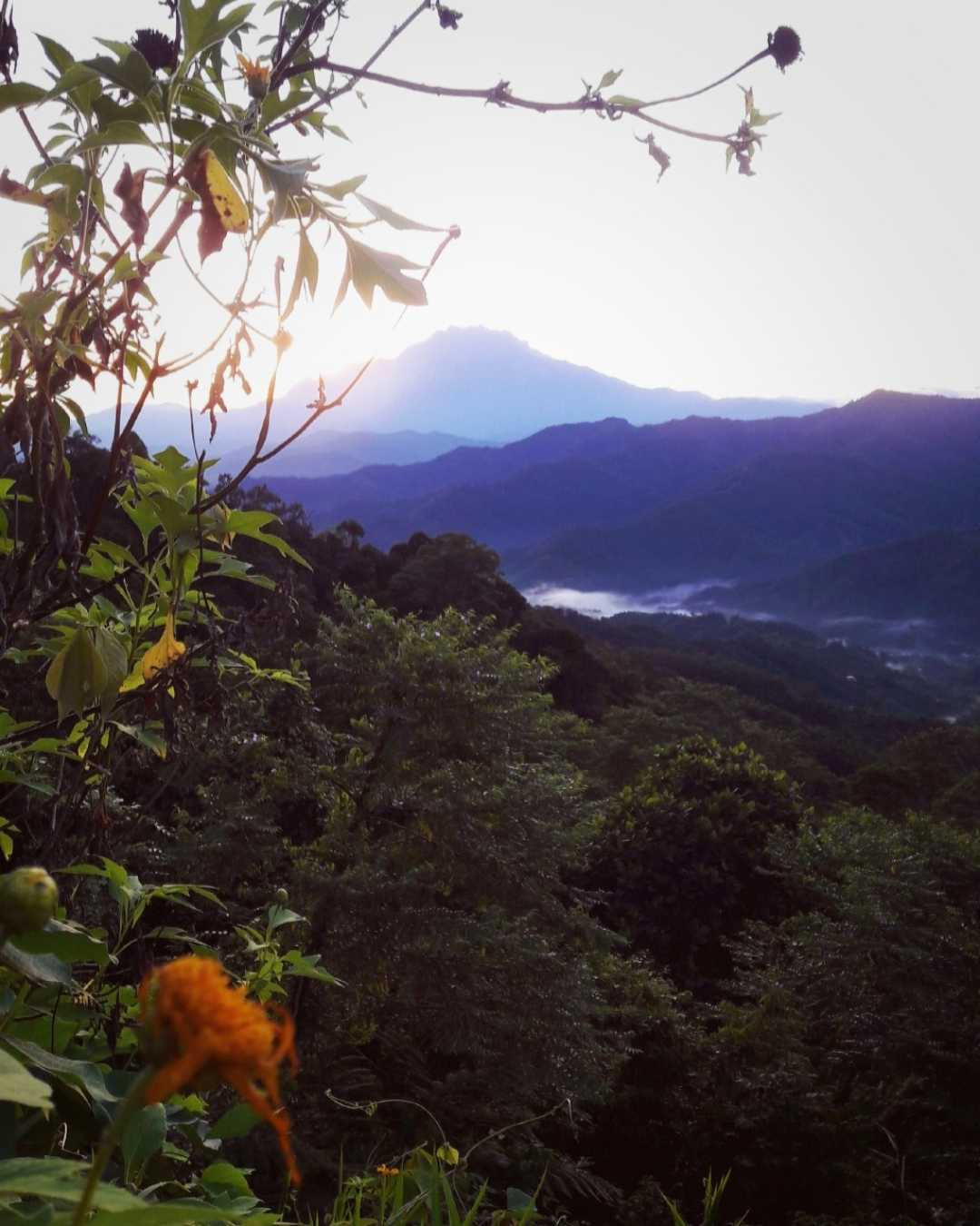 • Sunrise with Aki •