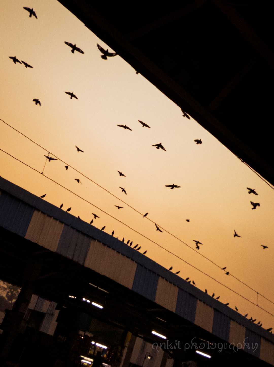 freeze the moment @pindleindia @pindle_india @pindle