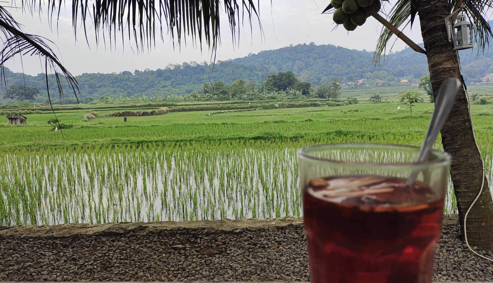 Tepi Sawah Coffee and Food
