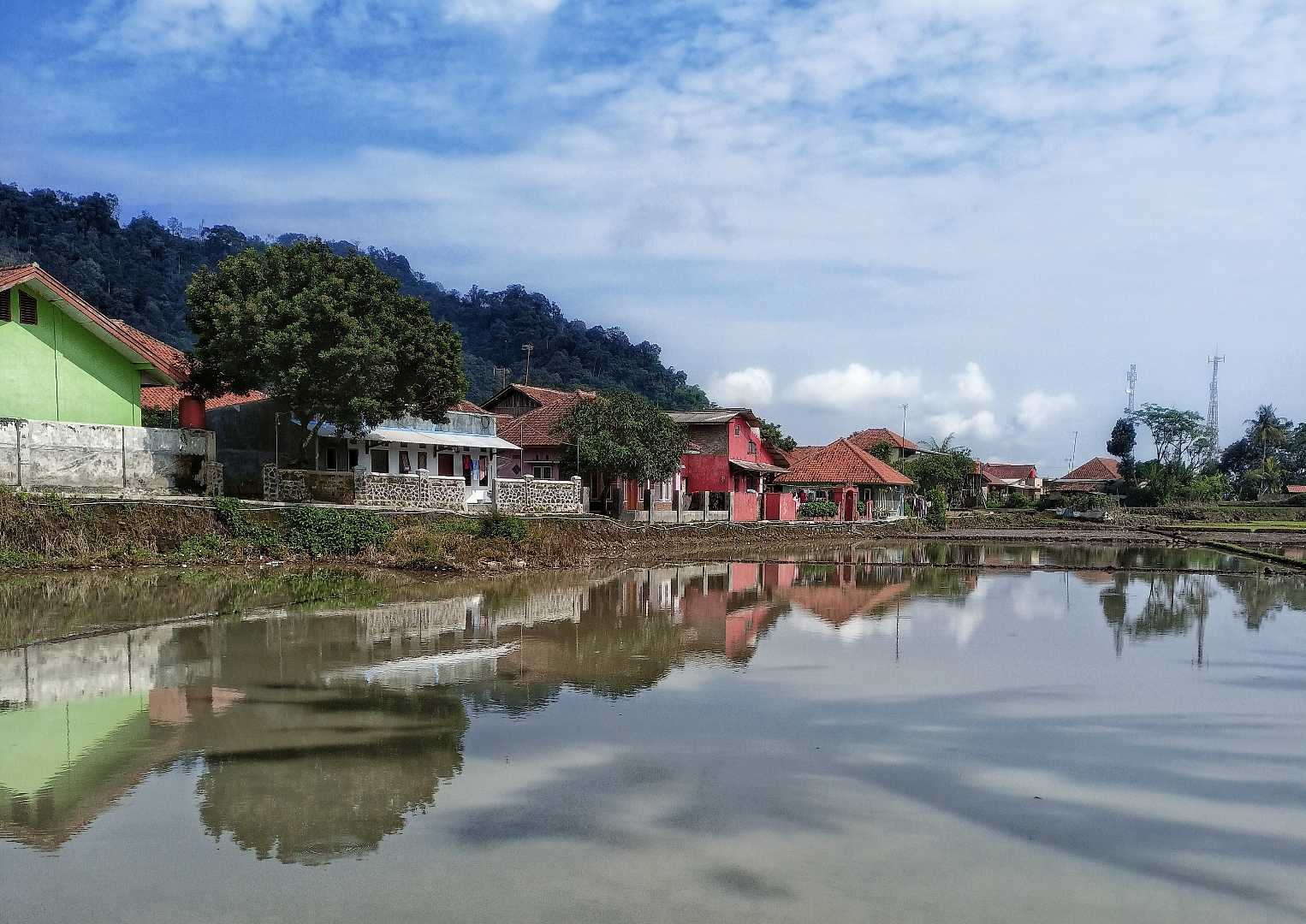 Pemandangan Sederhana