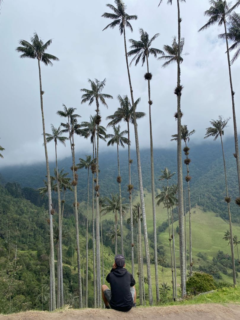 🇨🇴 Salento, Columbia