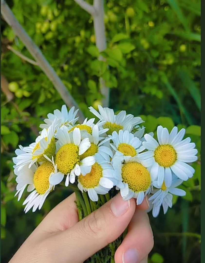 ❣️