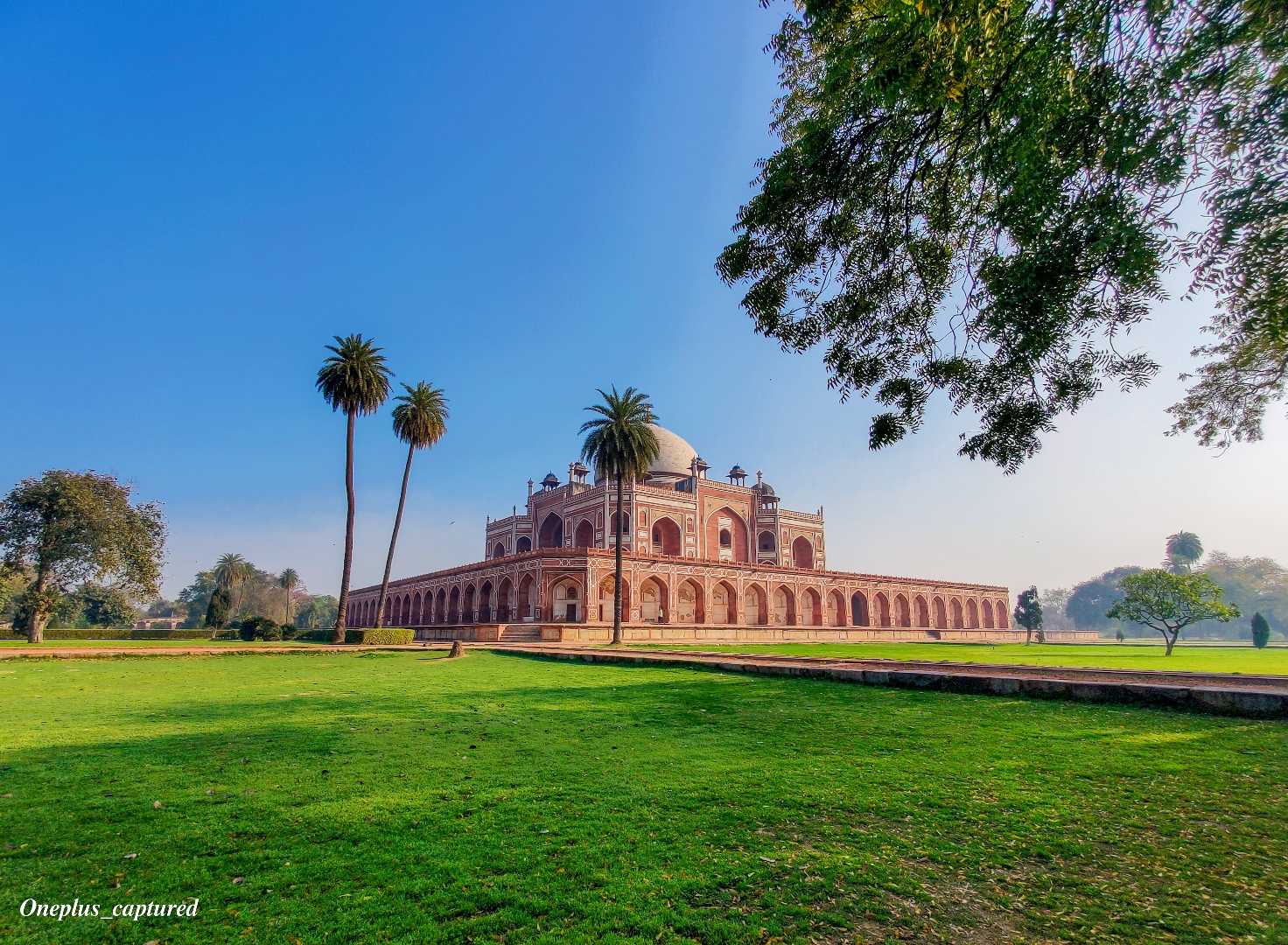 Delhi ♥️