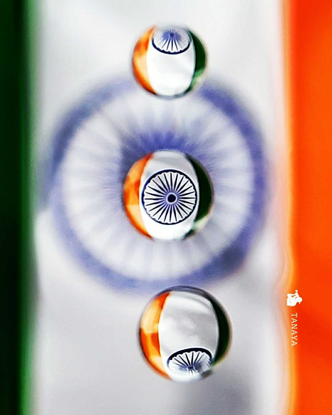 Happy Independence Day