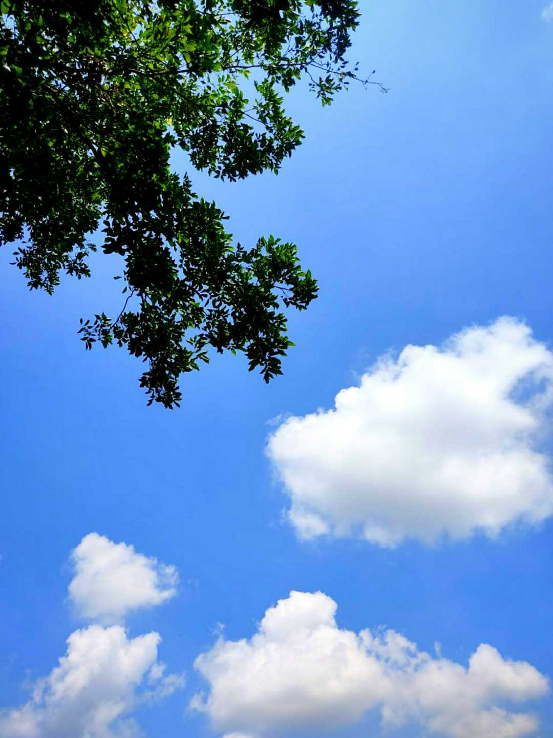Clouds made everything beautiful😍