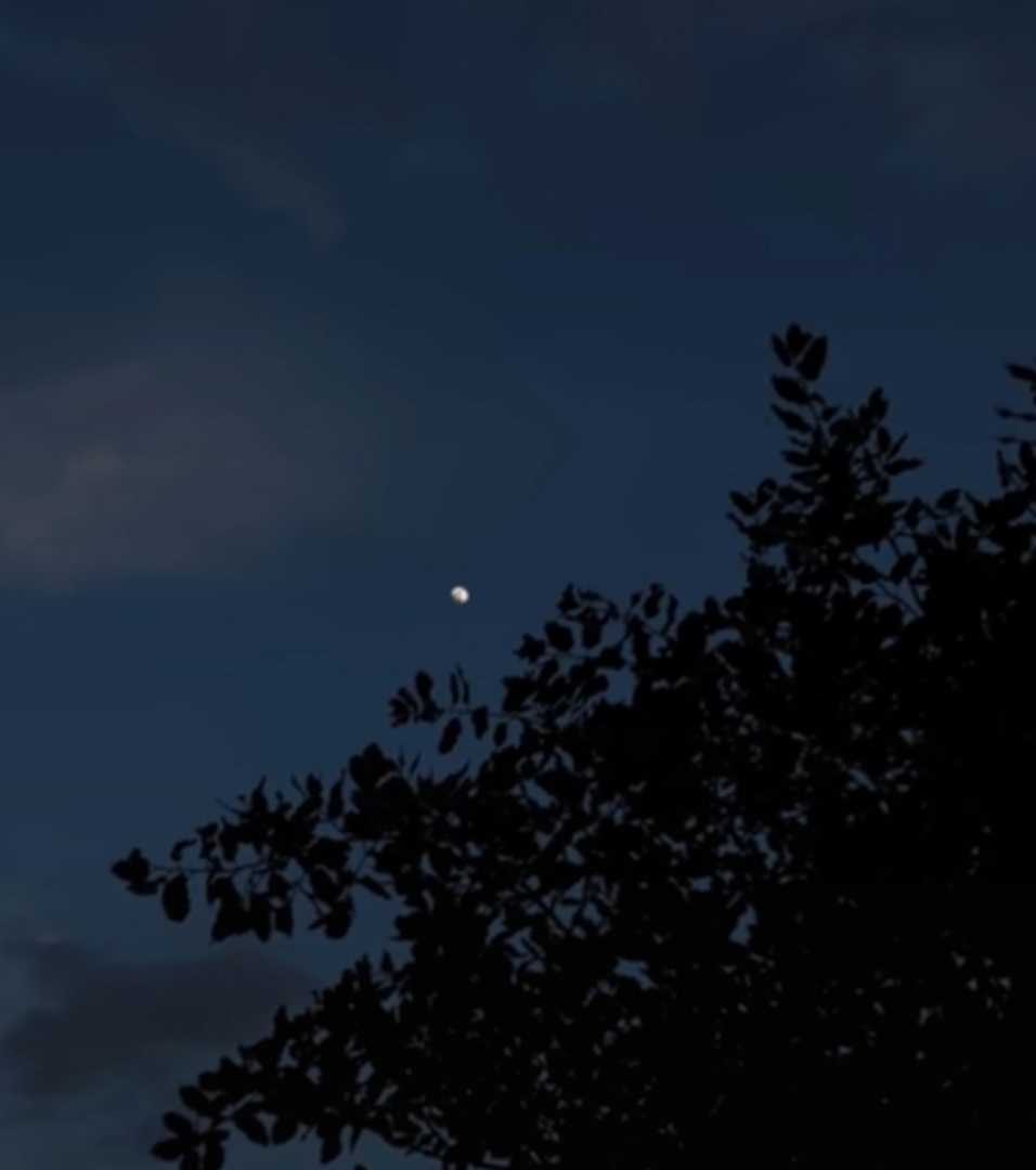 🌙 Moon