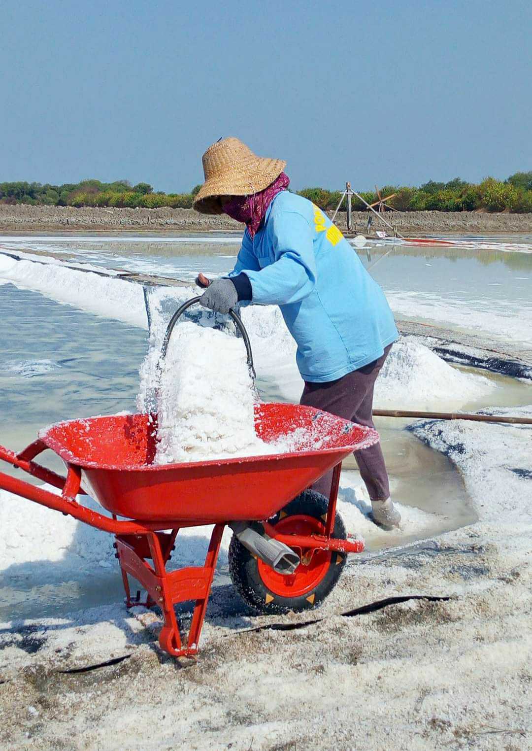 Petani Garam