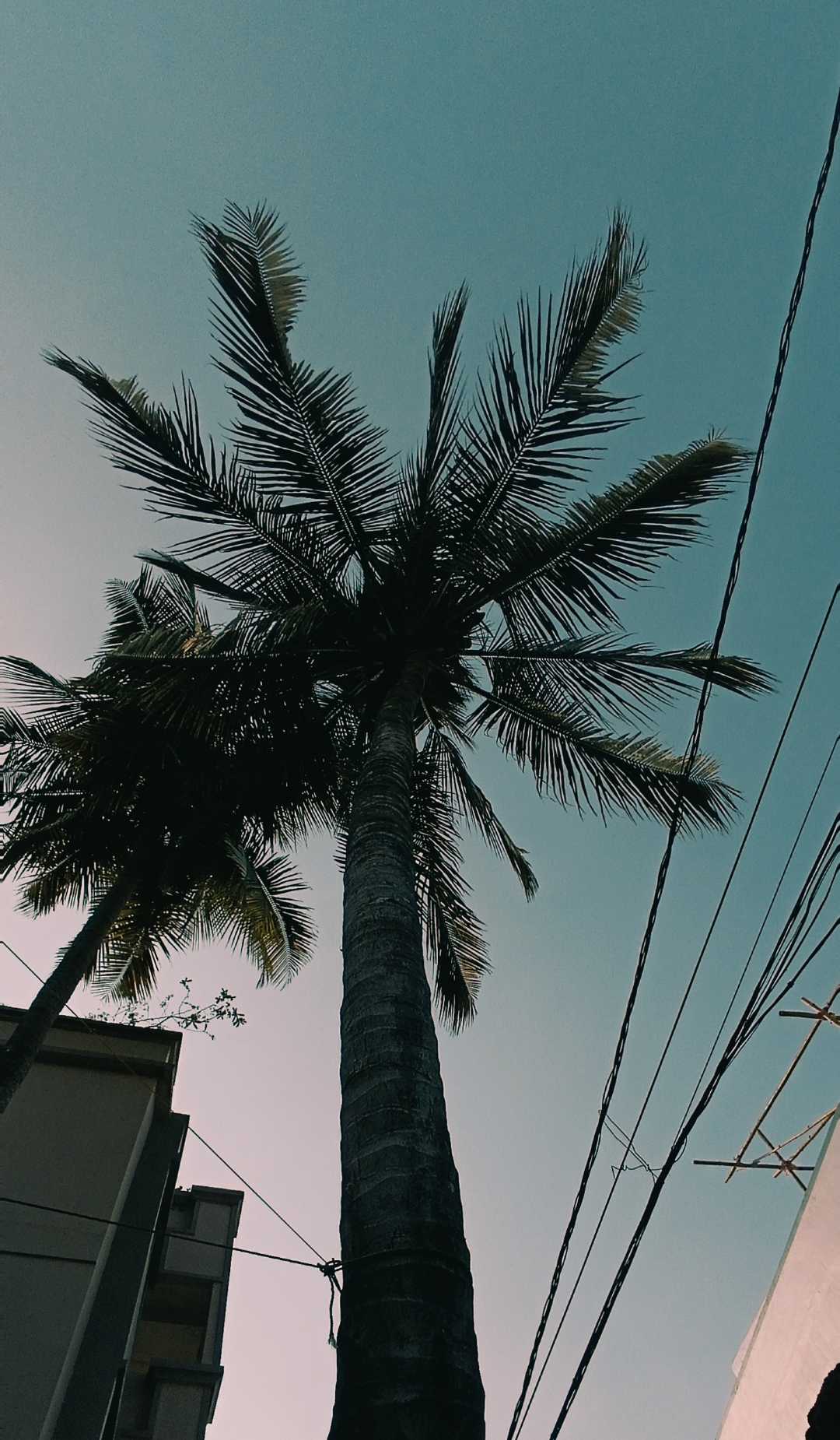 world upside down.. 