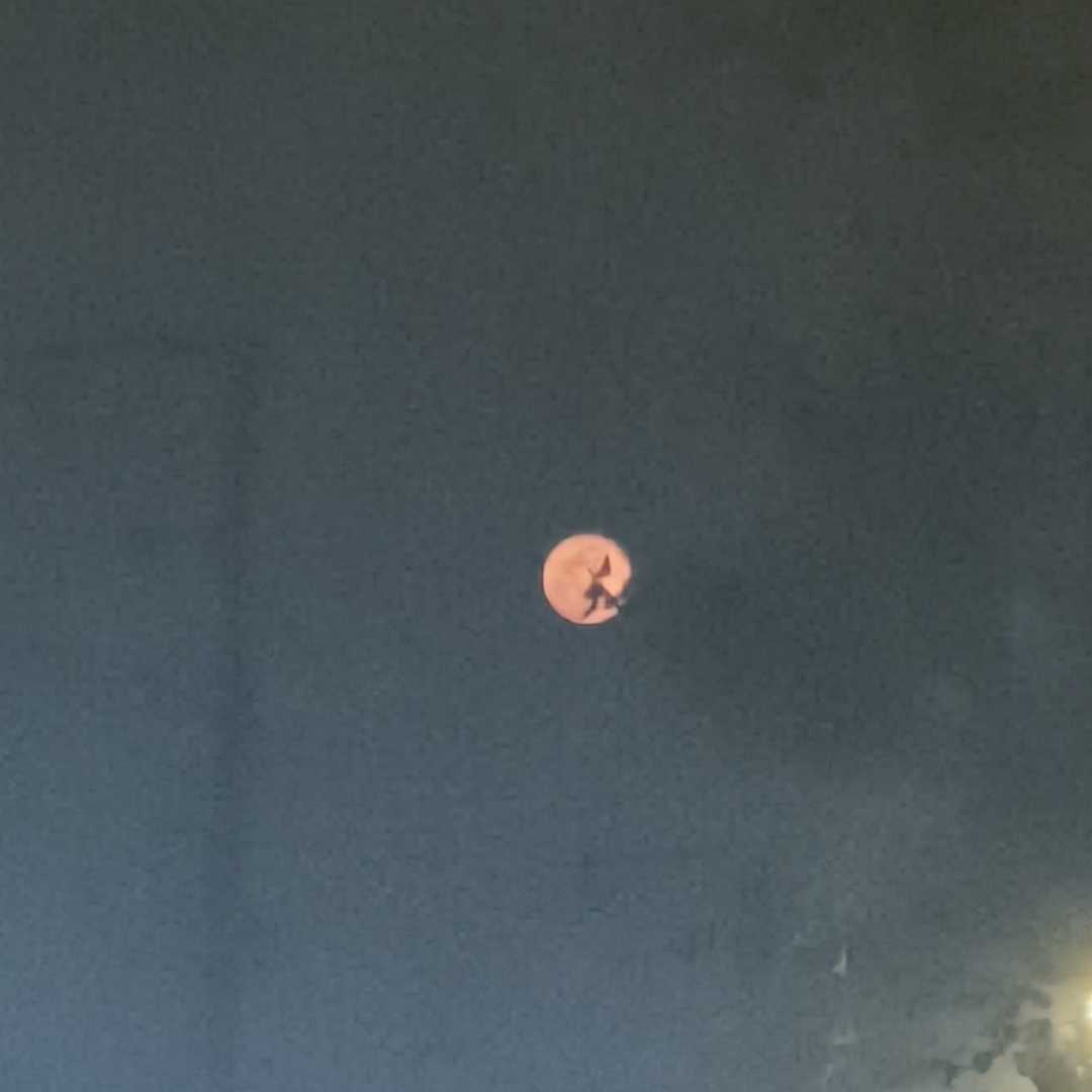 The moon today 😍