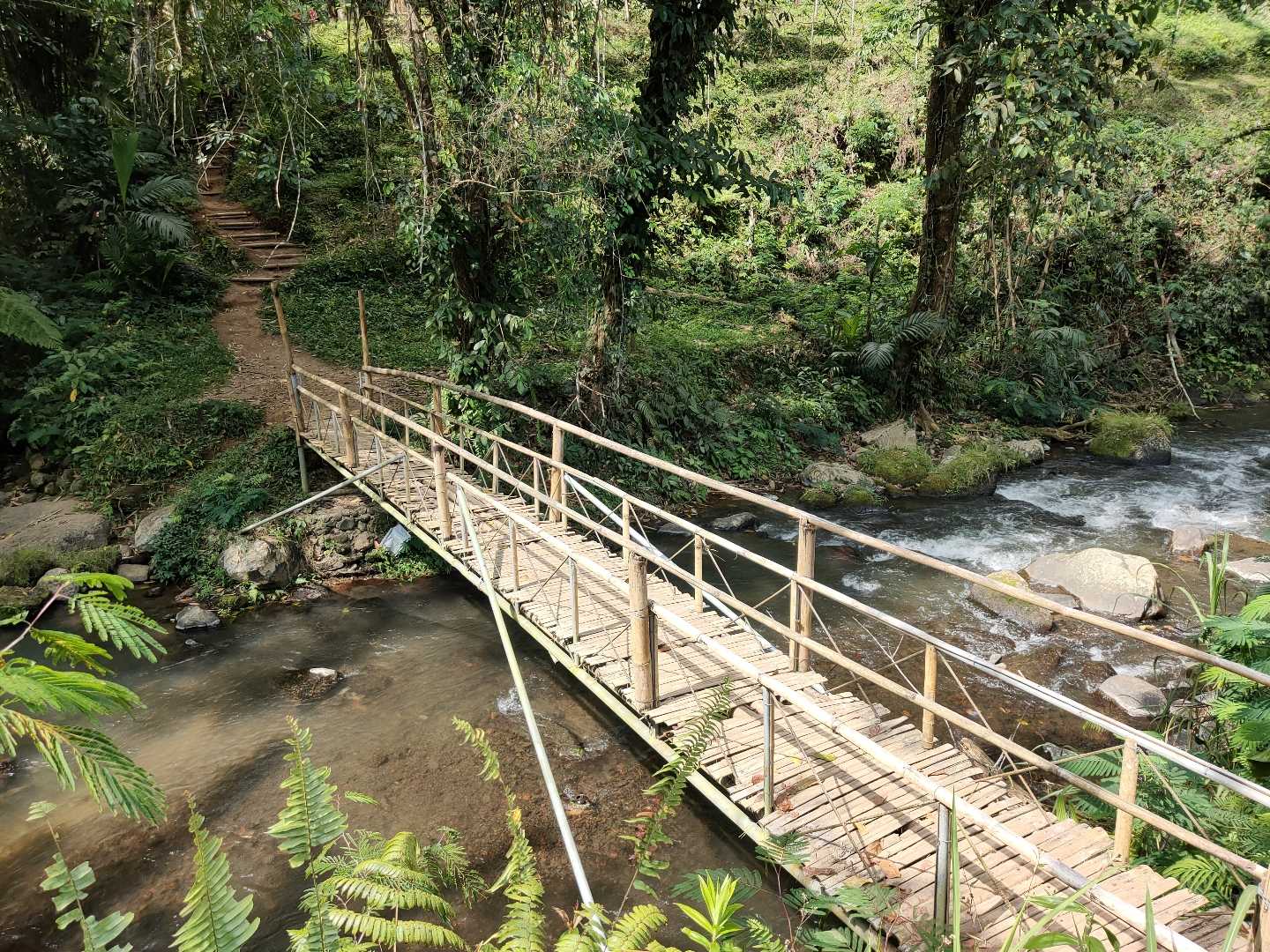 Bamboo Bridge