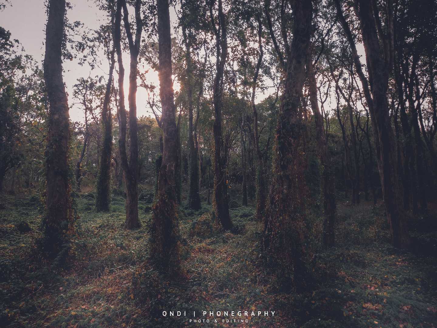 Wisata Lima Langkah
