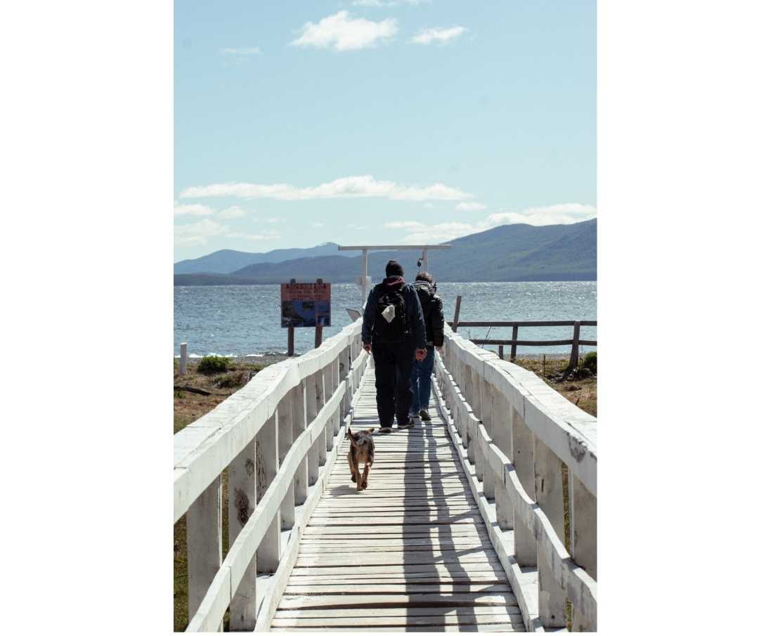 El puente de los deseos 🔔