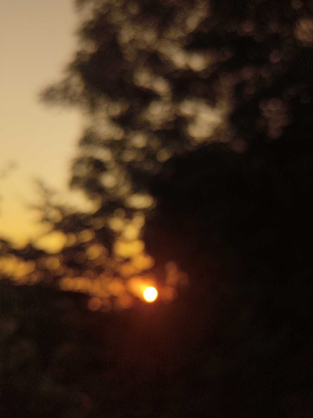 🌞🧡❤️