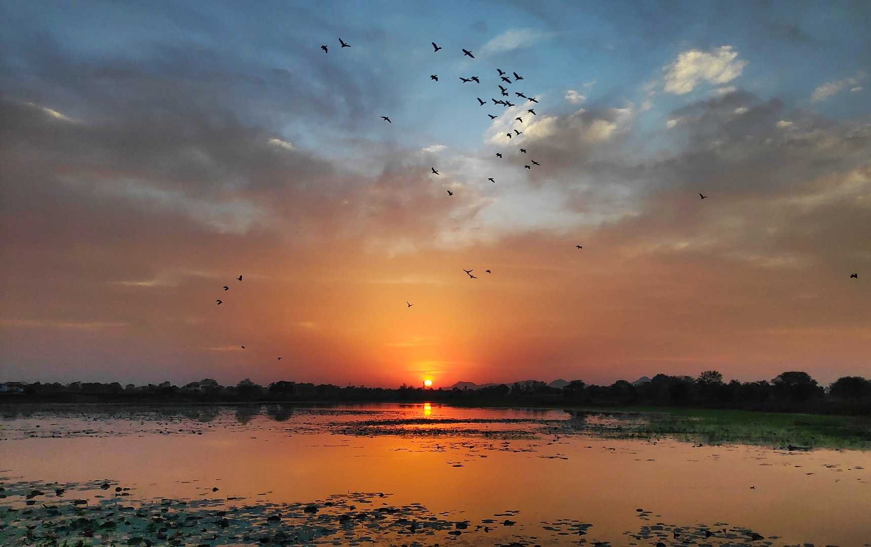 Beauty of Sunset 