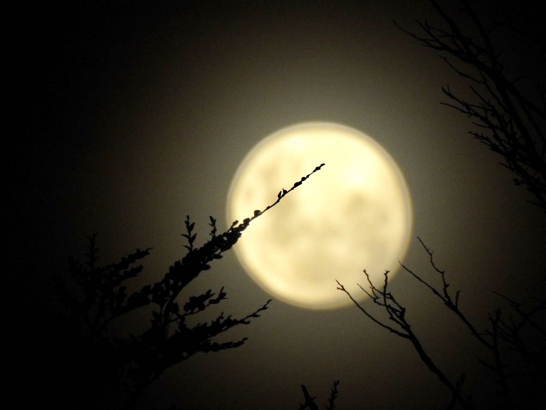 Luna llena en la Misión. Ushuaia 