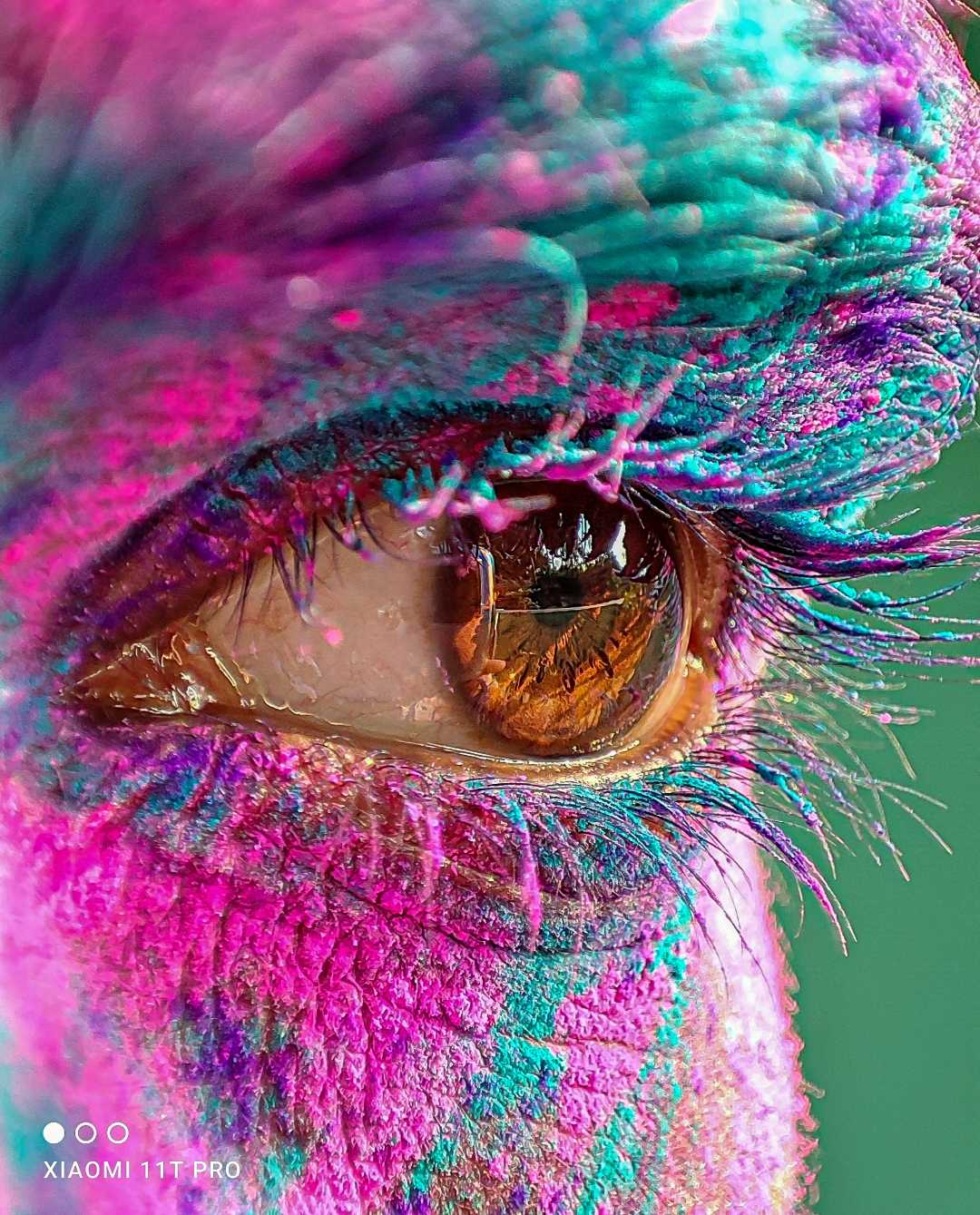 holi 2022