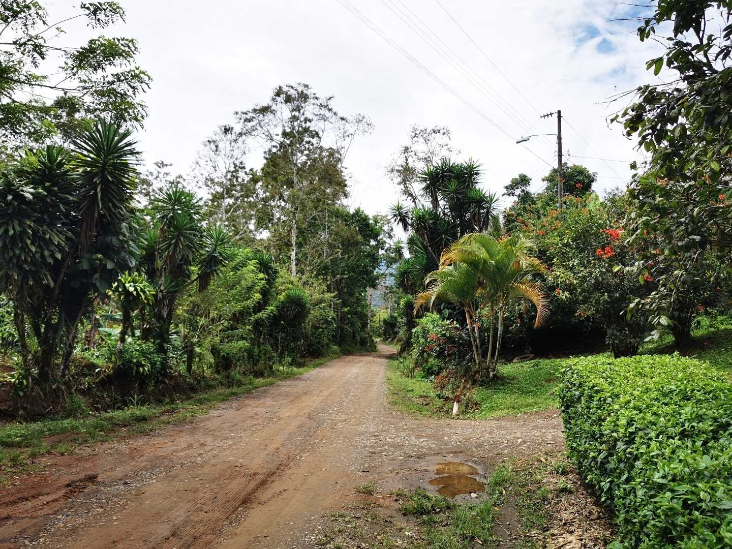 Caminos de Costa Rica