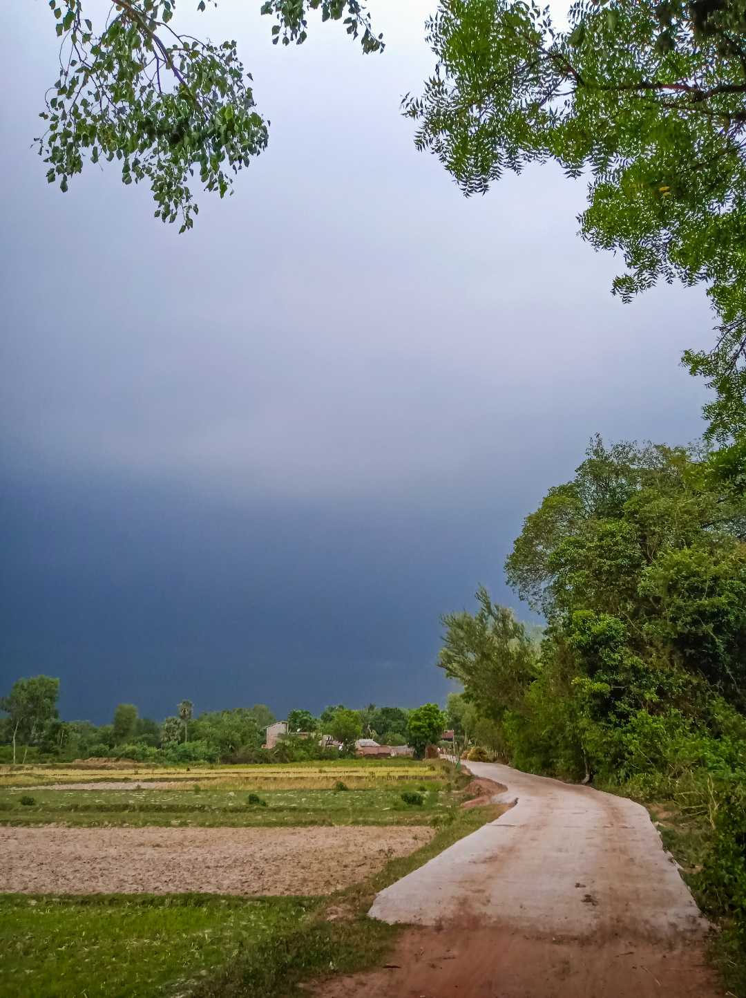 Weather