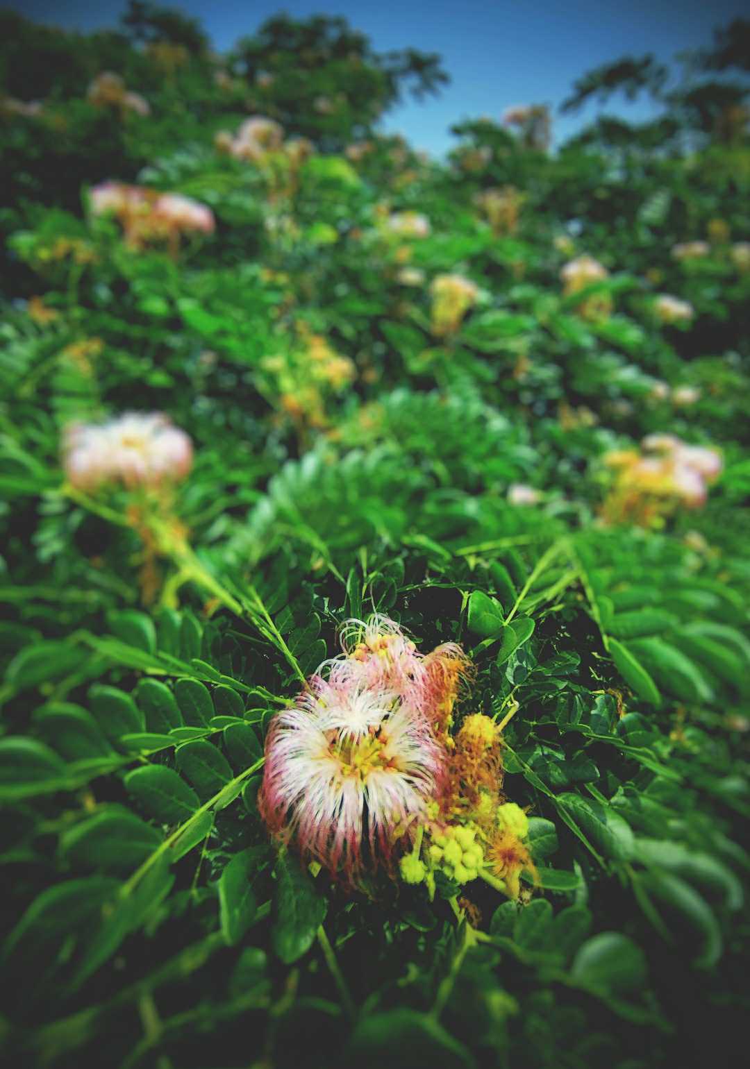 Nature's beauty 