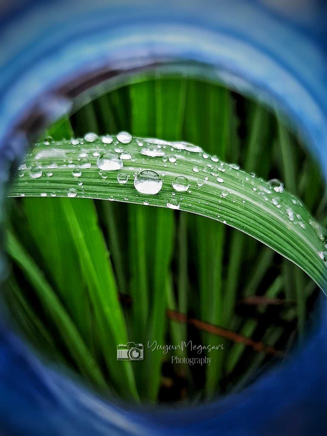 framing 
