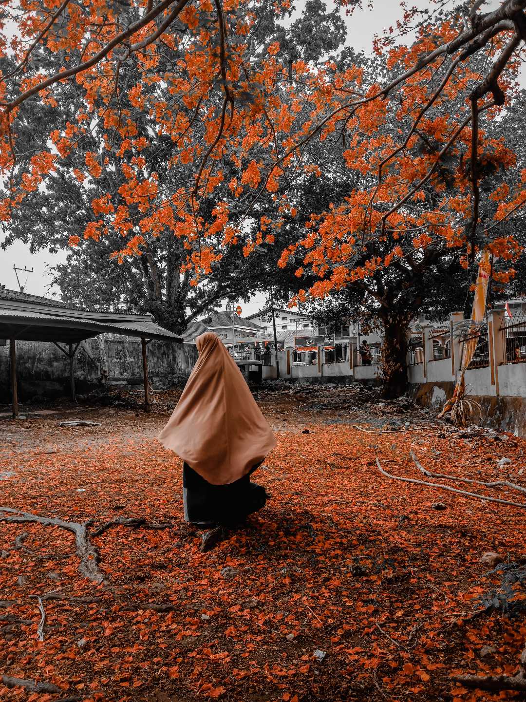 Backpose