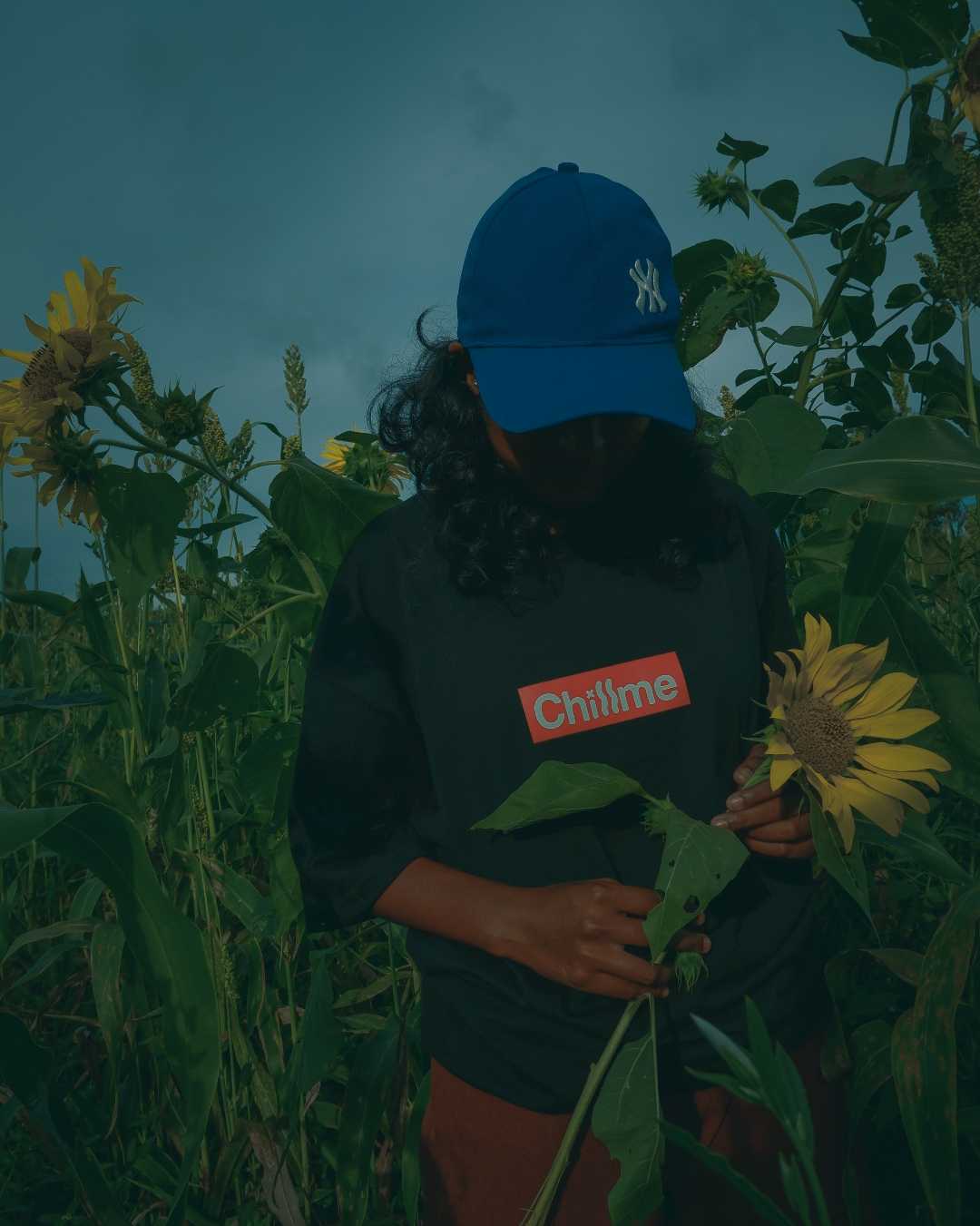🌻