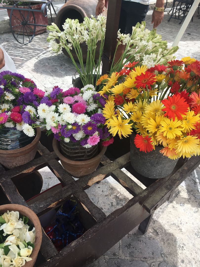 Flowers 🌸 