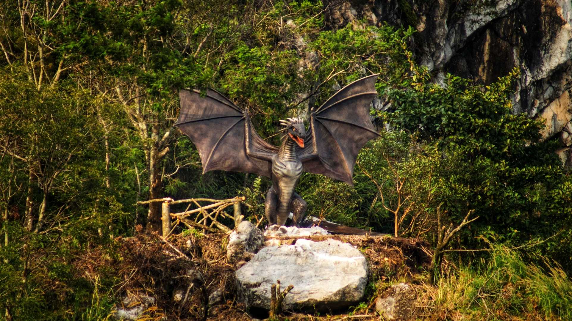 Nido de dragones 