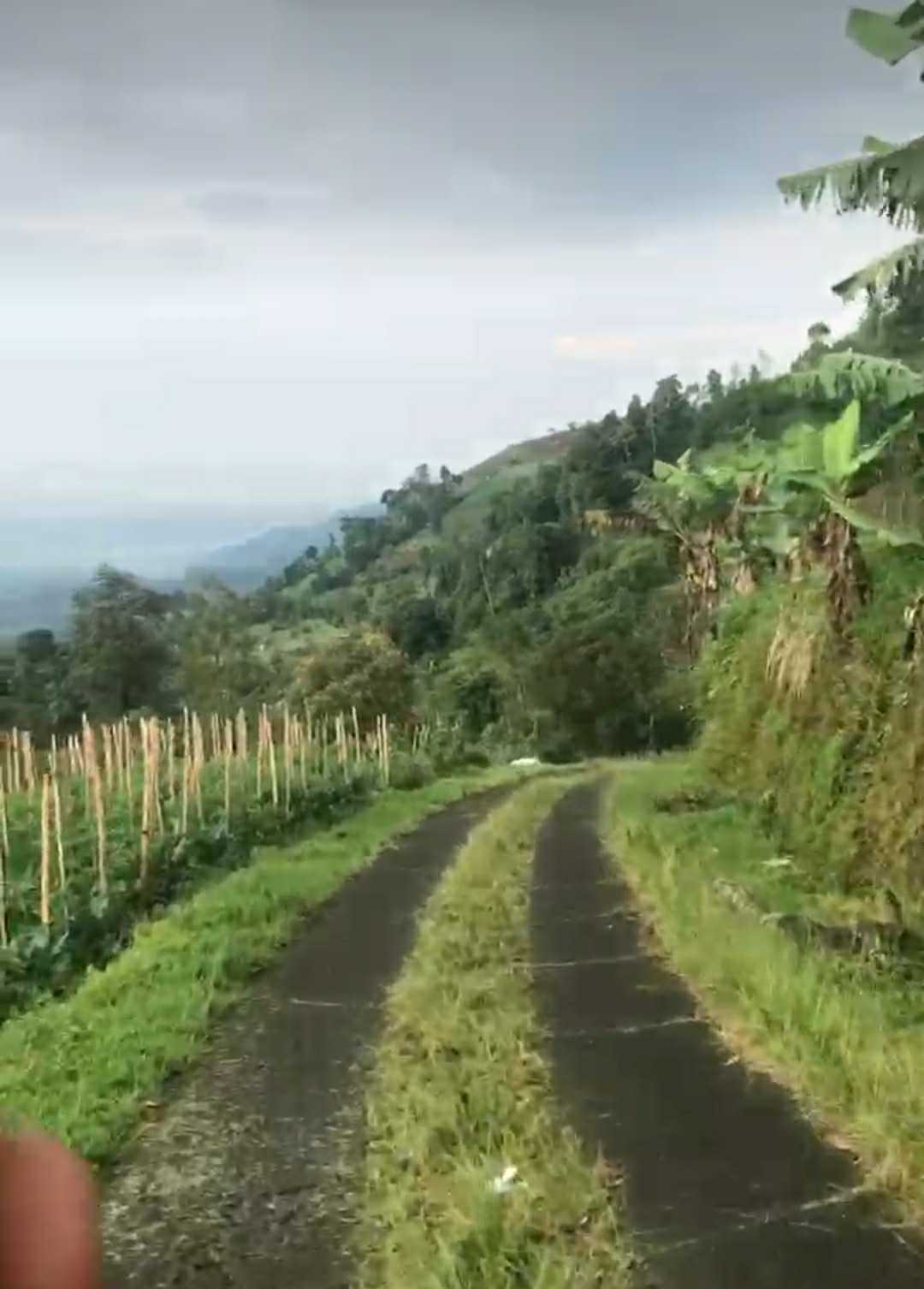 jalan setapak