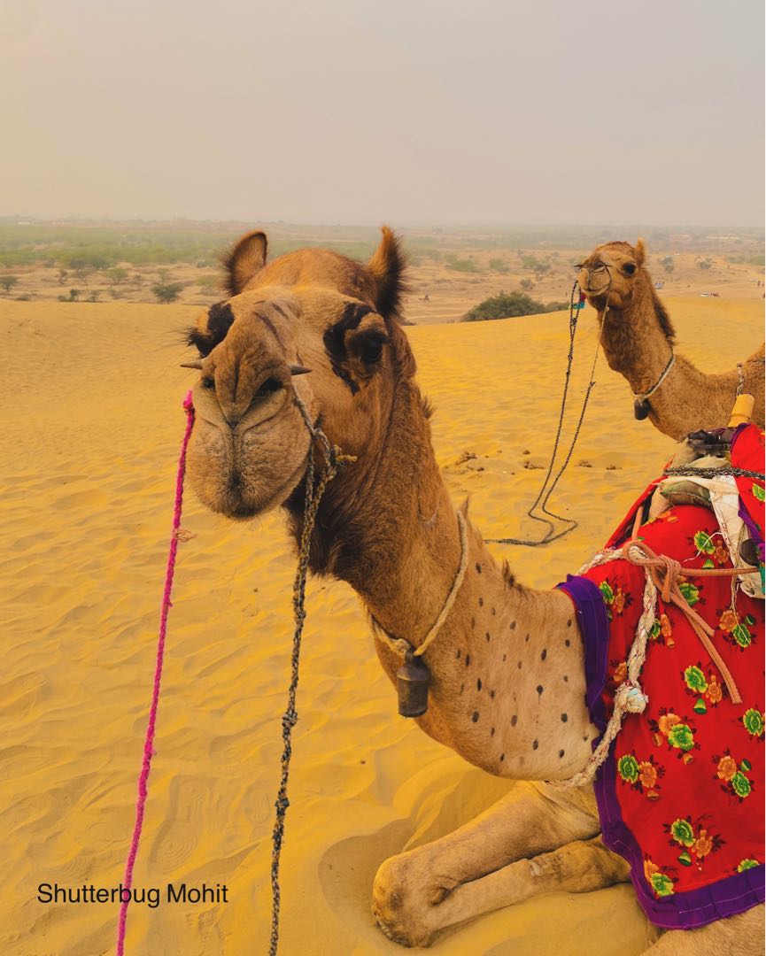 📍Khuri Desert Safari, Jaisalmer, Rajasthan