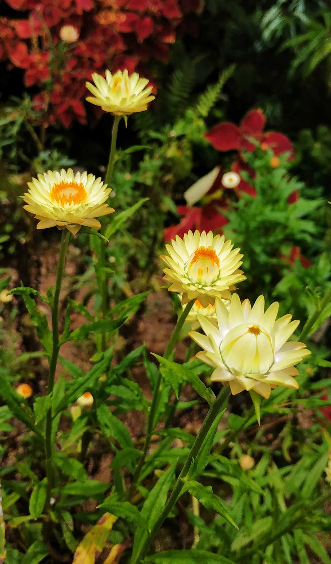 📸🌼😍
