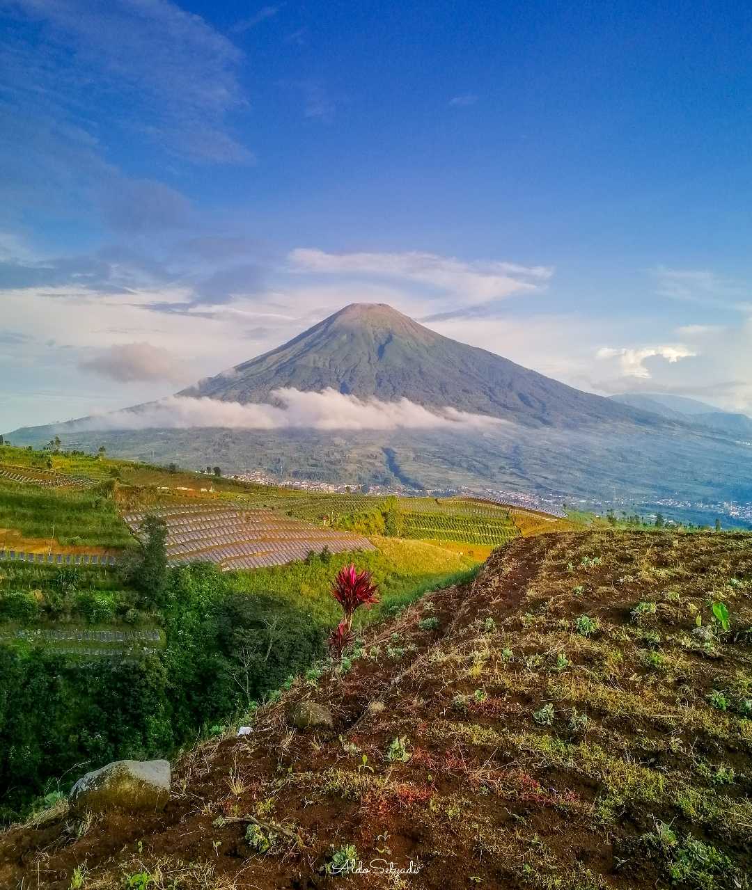 gagahnya gunung sindoro