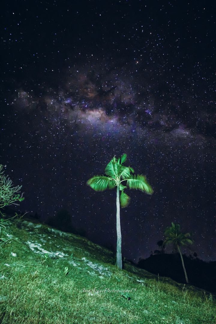 Landscape Night