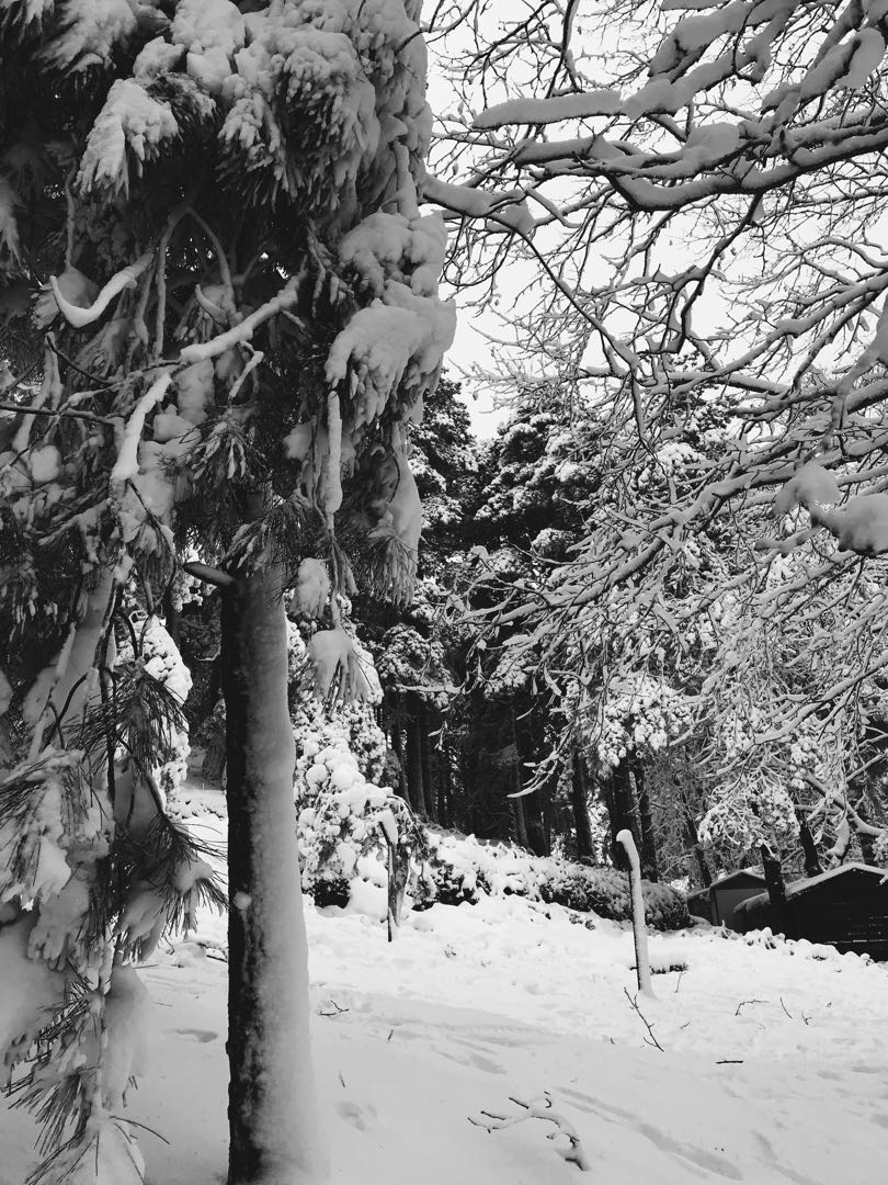 ❄️