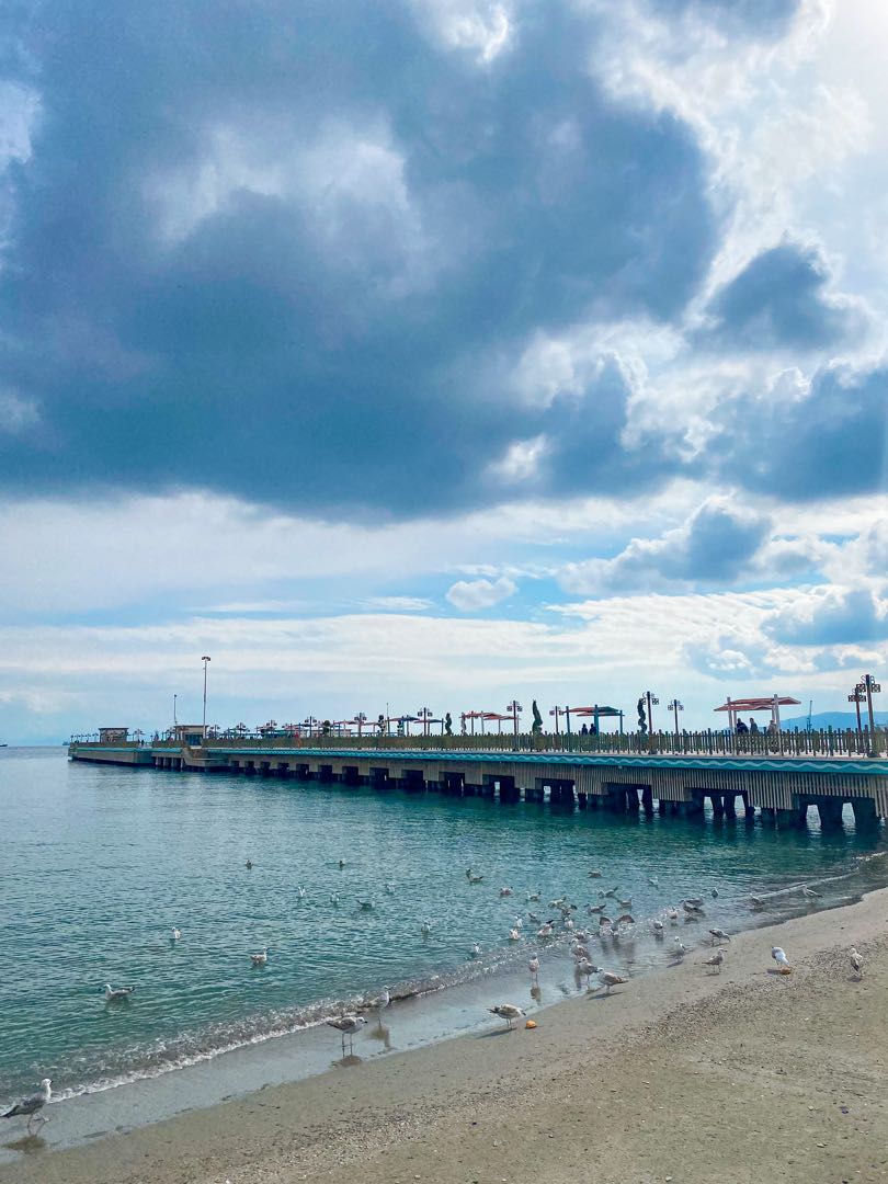 Martılar ve deniz 🪶
