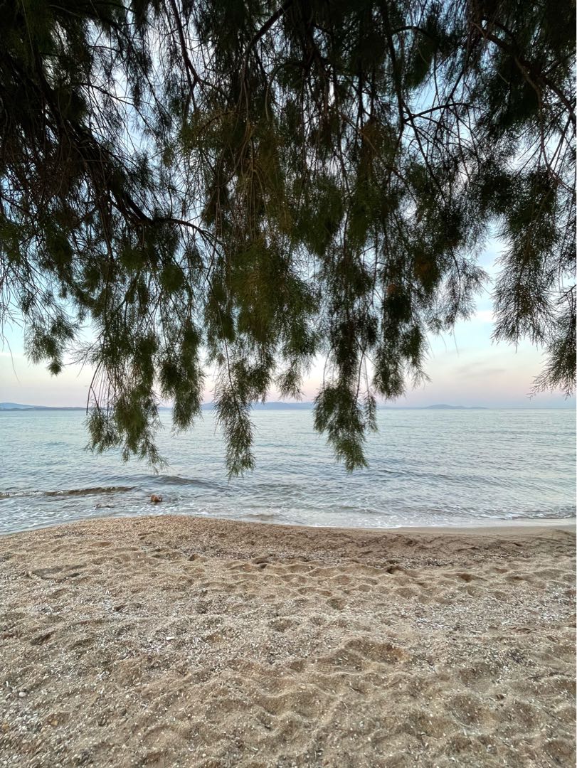 Nea Makri 🏝️ #greece 🇬🇷 
