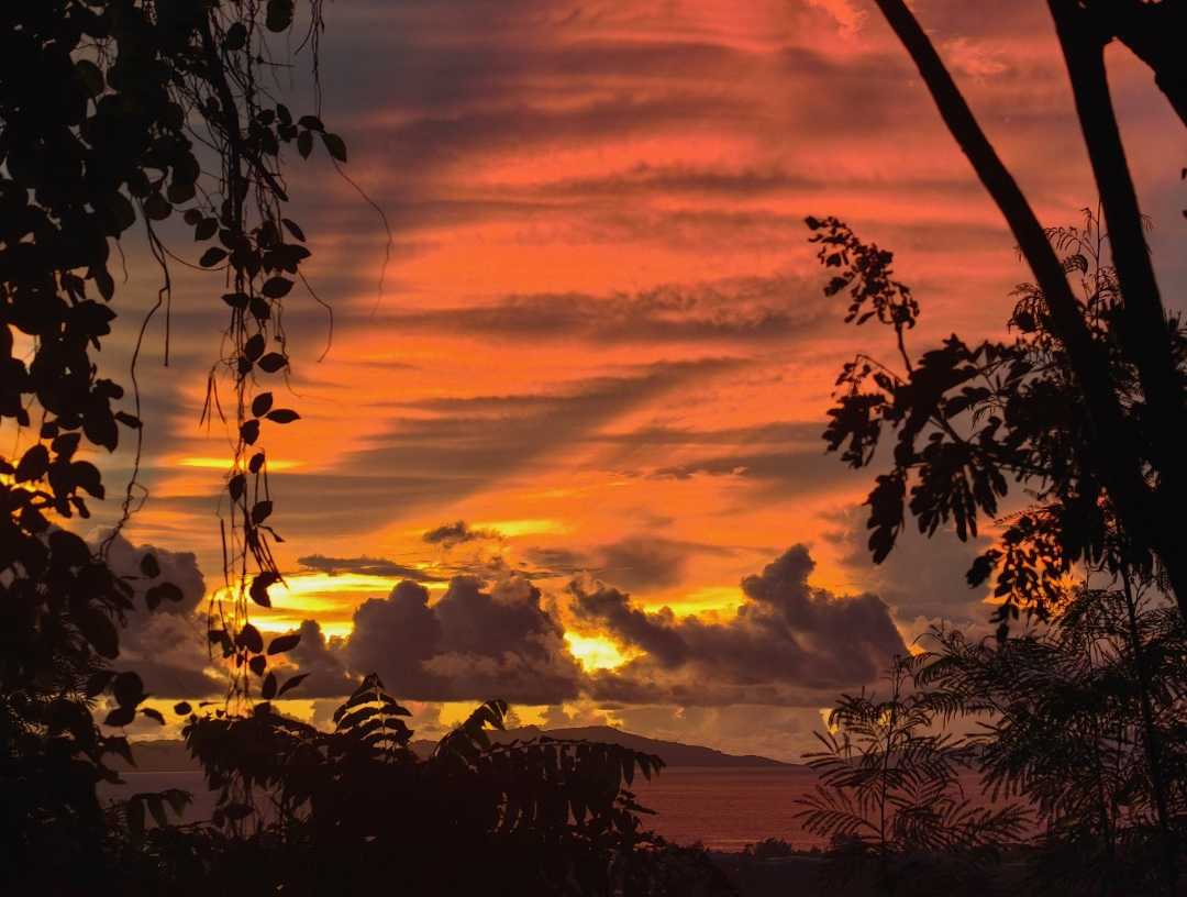 sunrise