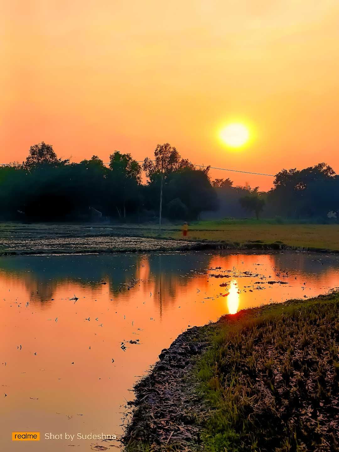 Rural Bengal 🌾🛖