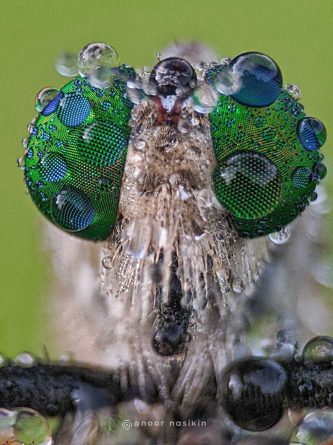 macro extreme