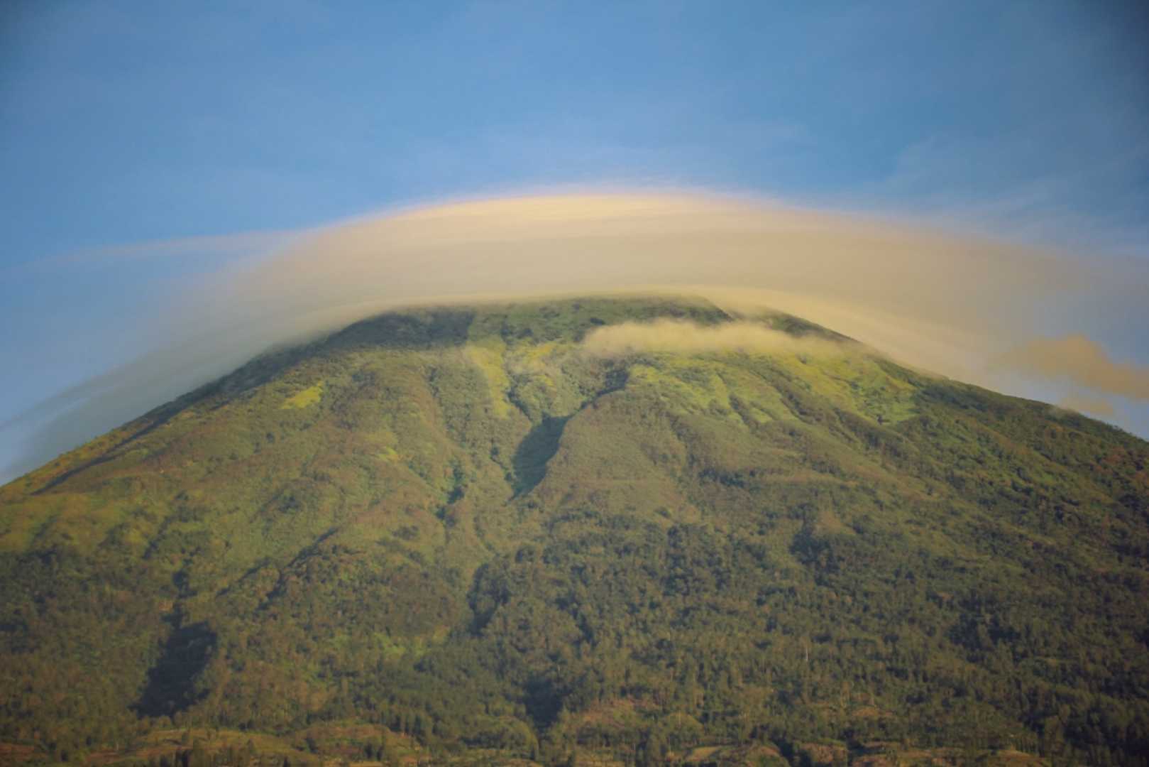 SINDORO