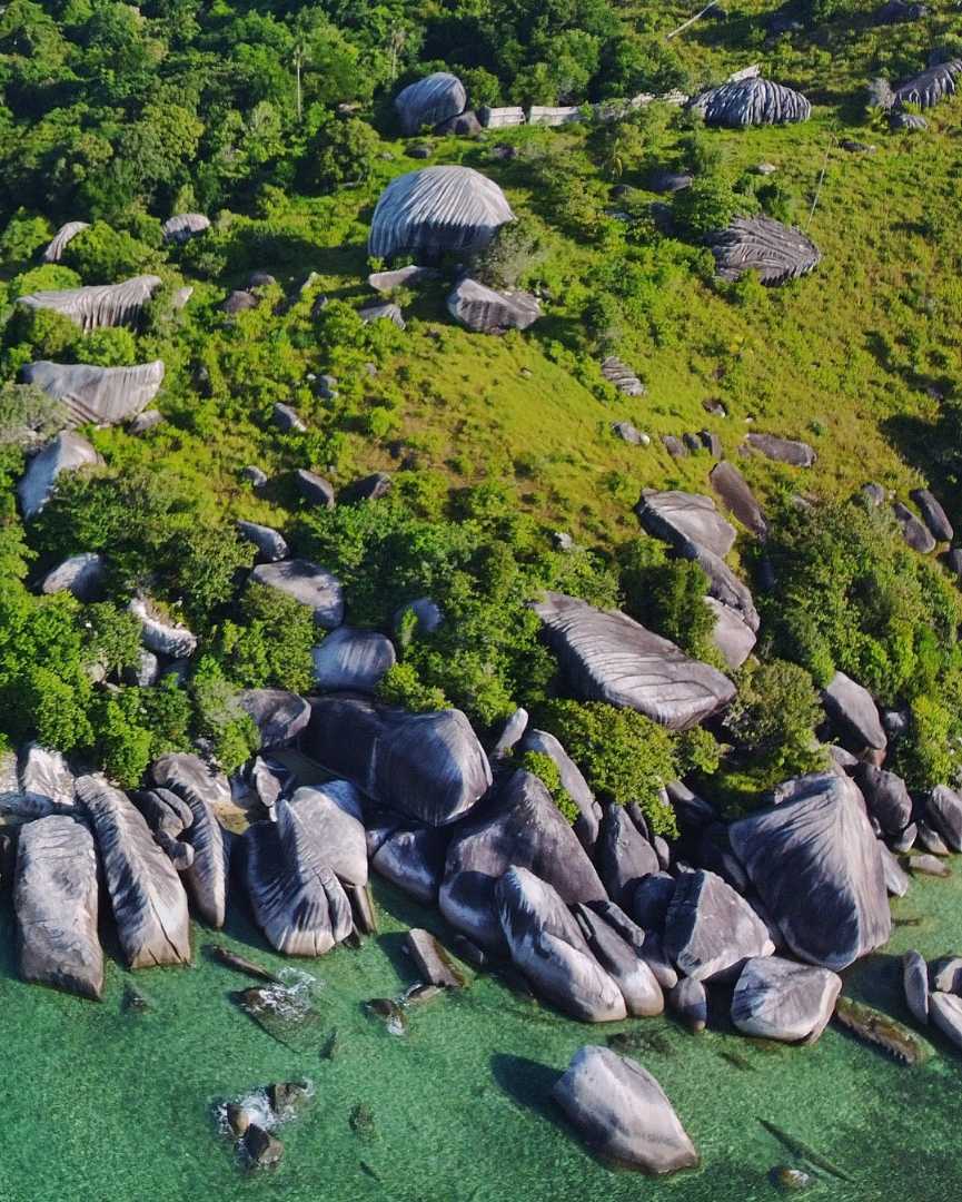 Happy New Year From Natuna Nature 🙏😍