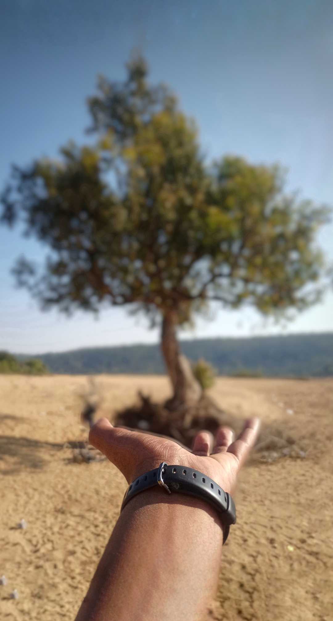 save trees, save life 