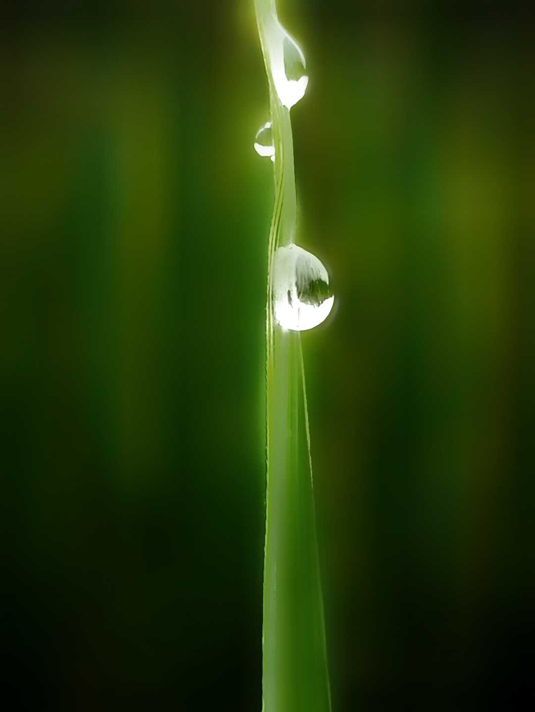 Eternal peace
