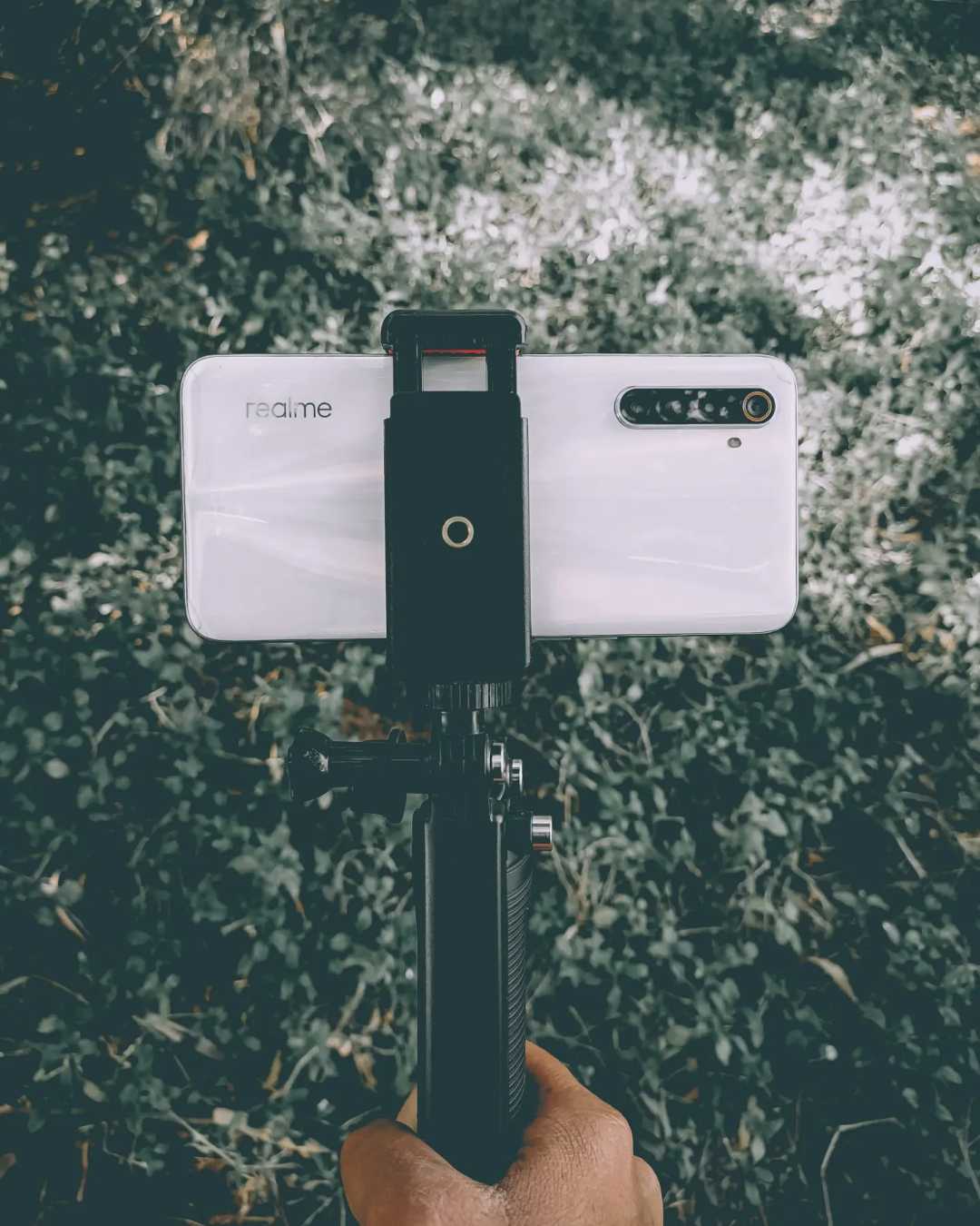Moody green product shoot