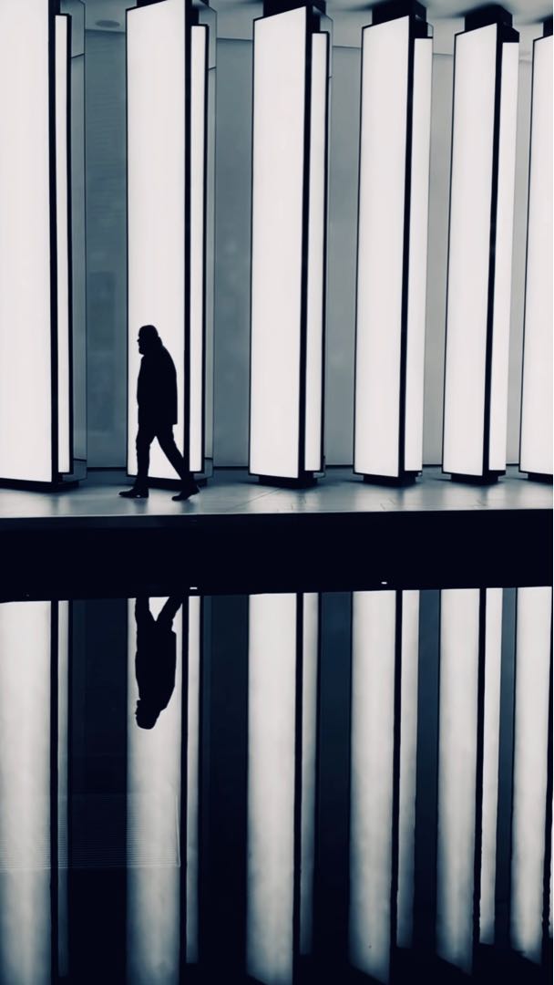 Fondation Louis Vuitton