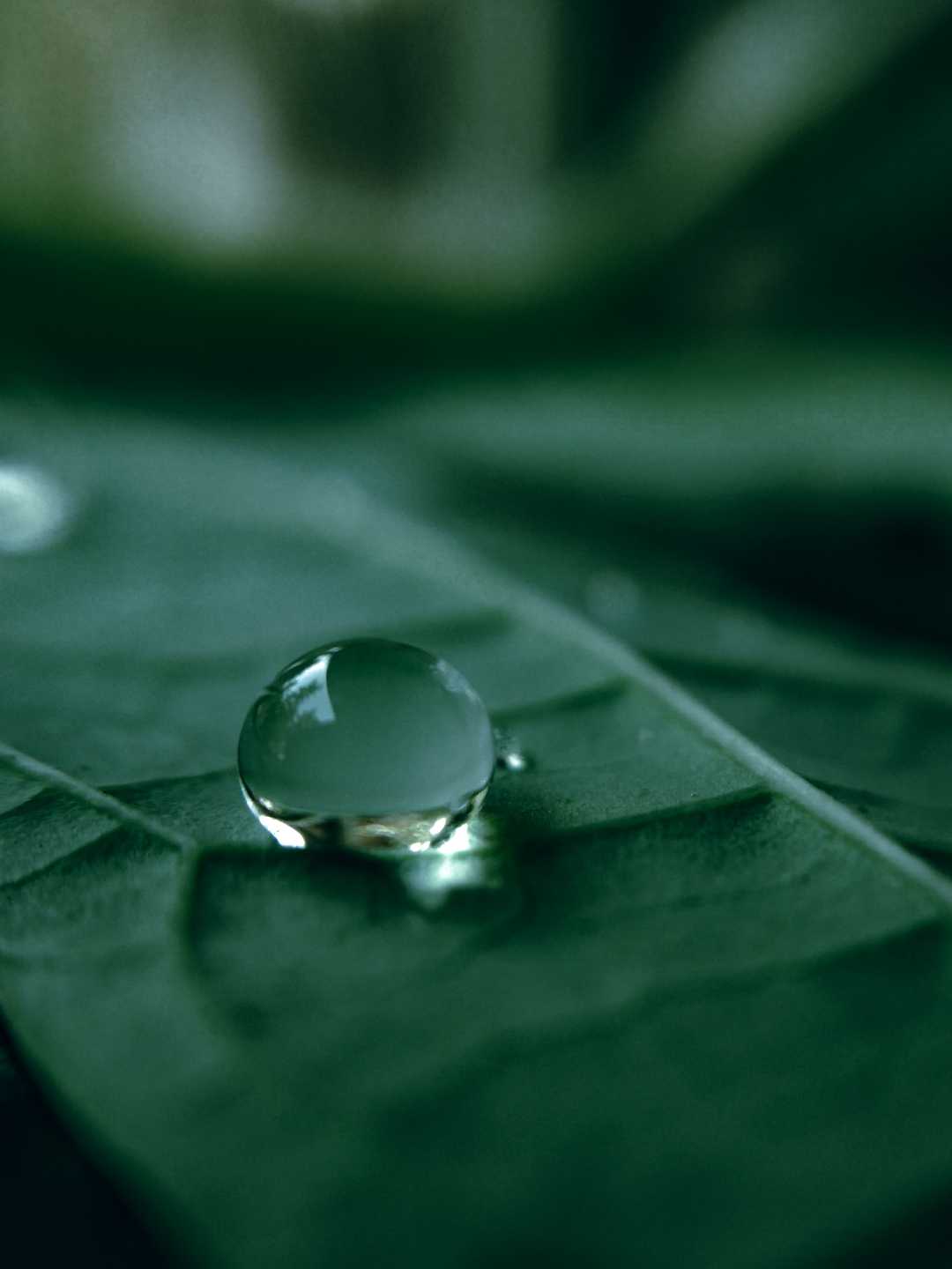 The macro view 🤩