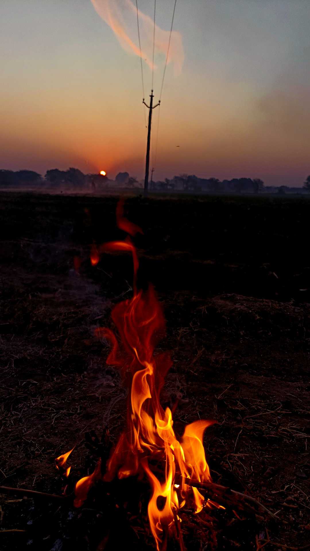 sun