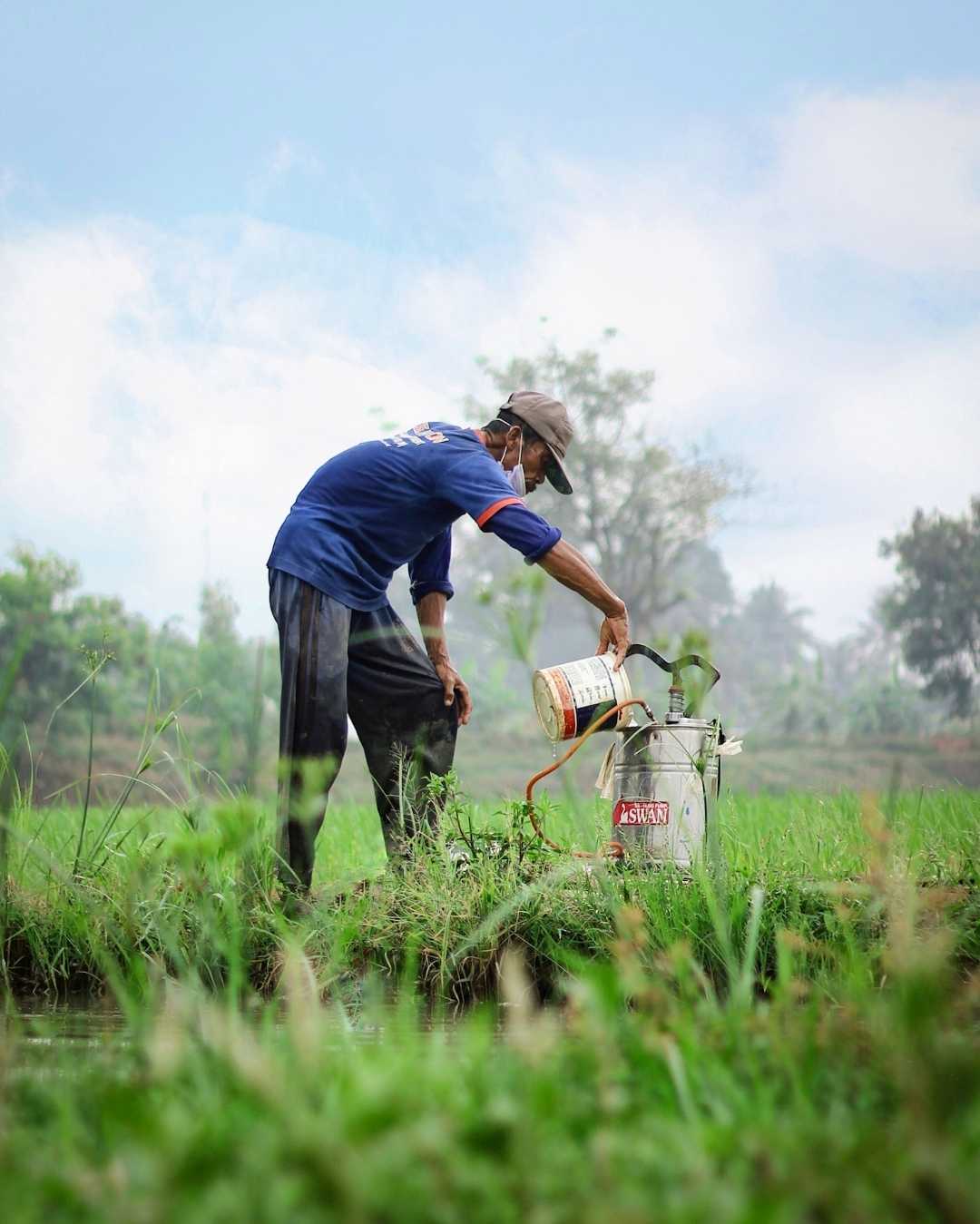 Aktivitas petani sebelum penyemprotan pestisida