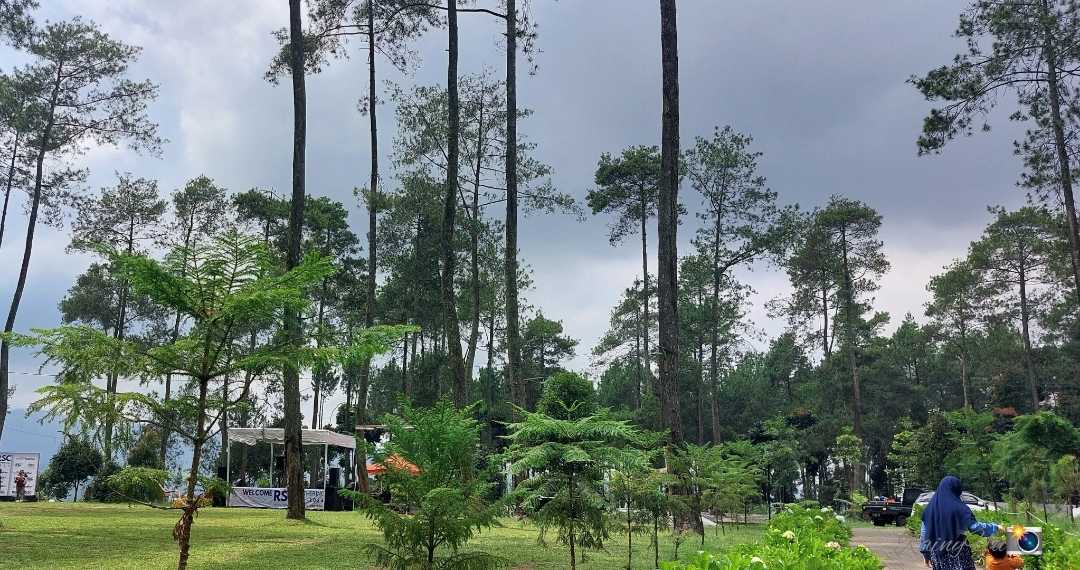 Orchid Forest Cikole